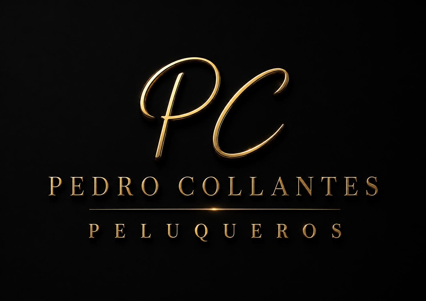 Logo PC Pedro Collantes